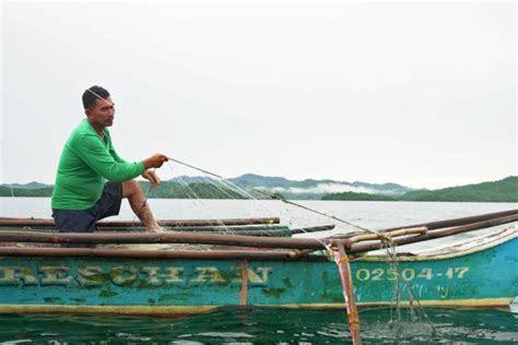 Healthy mangroves build a resilient community in the Philippines’ Palawan