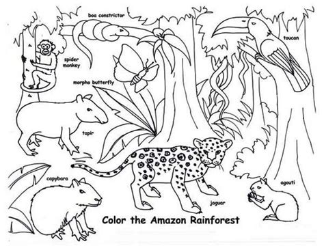 tropical rainforest animals coloring pages free unique rainforest jaguar coloring pages best ...