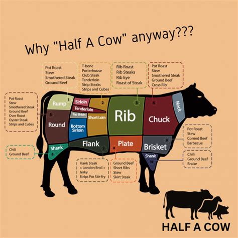 Why buy Half A Cow? - Farmer to Fridge