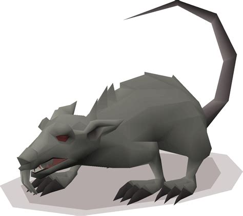 Giant rat (Tutorial Island) - OSRS Wiki