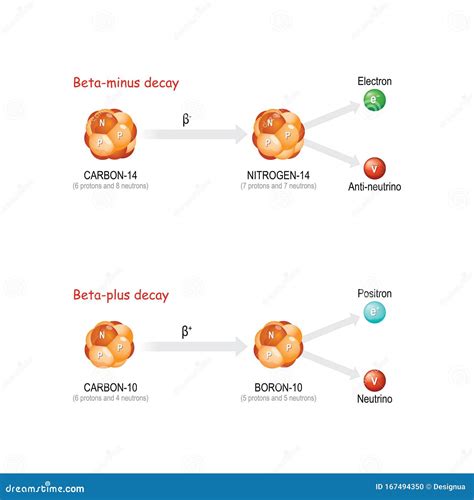 Beta-plus and Beta-minus Decay Stock Vector - Illustration of kinetic, neutron: 167494350