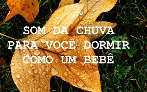 Som da chuva para você dormir como um bebê ( 2 horas de duração ) - YouTube | Som de chuva, Sons ...