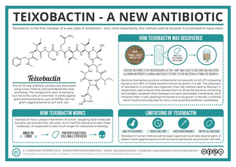 Discovery of New Antibiotic could Aid in the Fight against Antibiotic ...