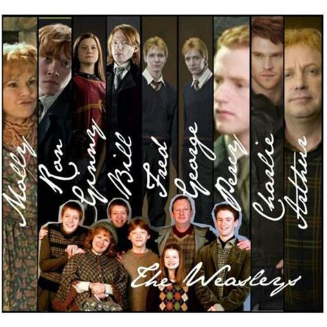 Ron Weasley | Wiki | Harry Potter Amino