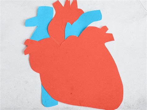 Blood tests for heart attack: How do they work?