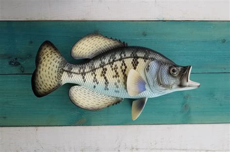 Replica Fish Mounts for sale | Only 4 left at -60%