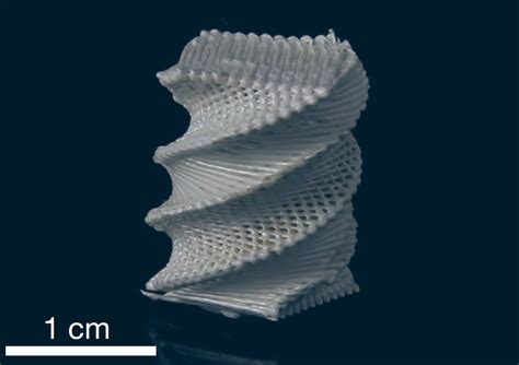 Researchers Develop Way to 3D Print with Liquid-Crystal Polymers | Sci.News