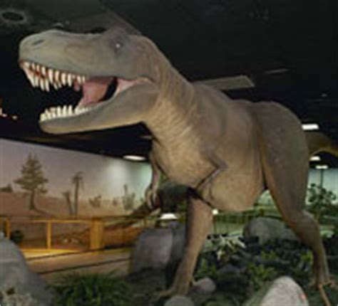 Las Vegas Natural History Museum | Las Vegas | SmarterVegas.com