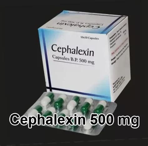 Can Cephalexin Be Used For A Dog Bite