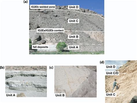 Outcrop photographs of undeformed Bishop Tuff. (A) Entire sequence from ...