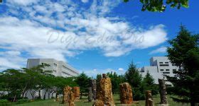 Dalian University