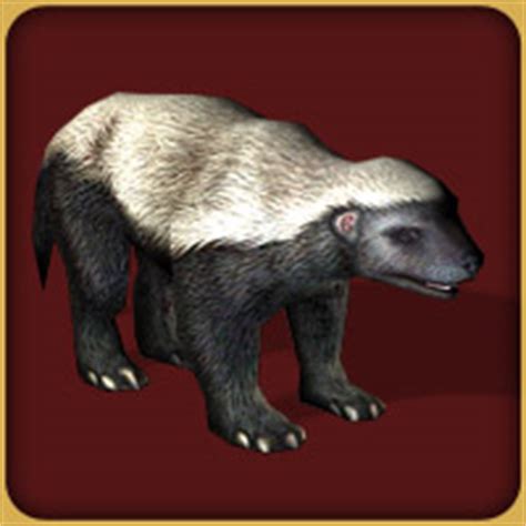 Ratel | Zoo Tycoon Wiki | FANDOM powered by Wikia