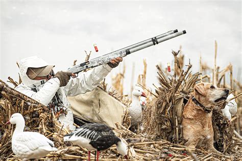 Best Snow Goose Hunting Gear of 2023 - Wildfowl