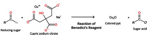 Benedict's Reagent: A Semi-Quantitative Test - PSIBERG