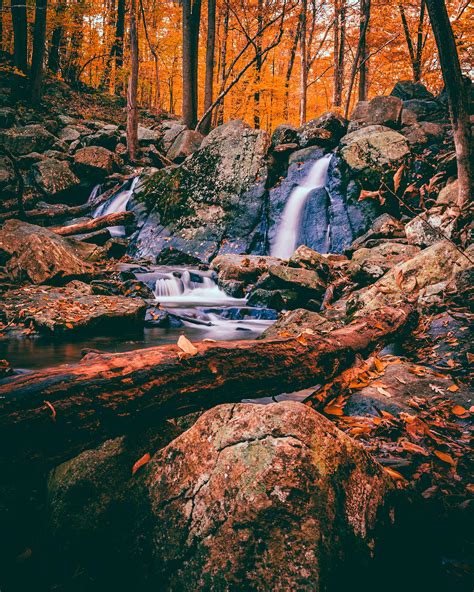 Waterfall in Hacklebarney State Park (Chester, NJ). [2986 × 3733] [OC ...