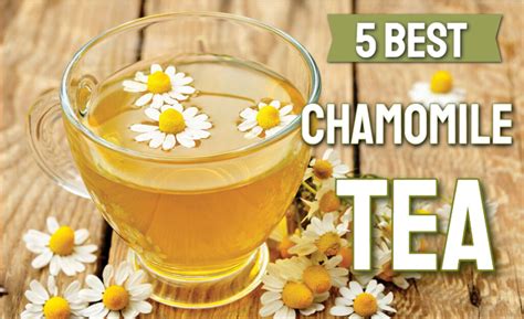 5 Best Chamomile Tea Brands in India 2024