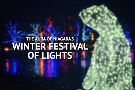 Winter Festival of Lights in Niagara Falls: What You Need to Know » I ...