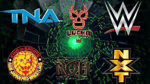 WWE vs TNA vs ROH vs NJPW vs Lucha Underground vs NXT | Wrestling Amino