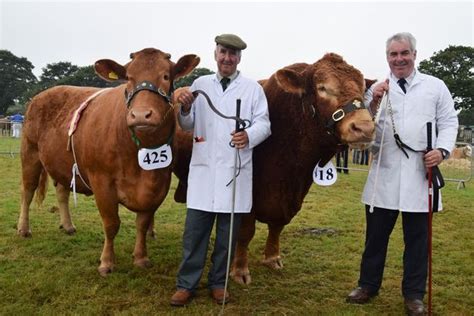 Launceston Agricultural Show becomes latest to cancel 2021 event over Covid fears - Cornwall Live