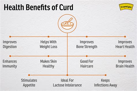 These amazing benefits of curd will make you eat some right now!