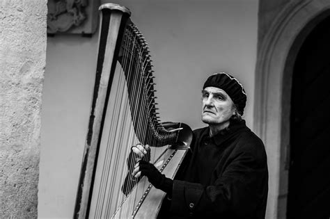 The Story of the Irish Harp • Irish Traditions - A Tipperary Store ...