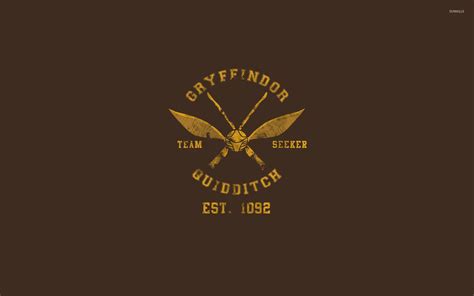 Gryffindor Quidditch Field Wallpapers on WallpaperDog