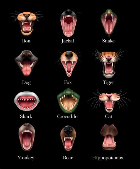 Animal Mouth Set 4730246 Vector Art at Vecteezy