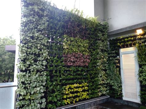 Vertical Garden Wall | Green Living Wall | Artificial Garden Wall - EverGreen Associates