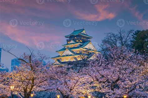 Twilight at Osaka castle during Cherry blossoms season 11103389 Stock ...