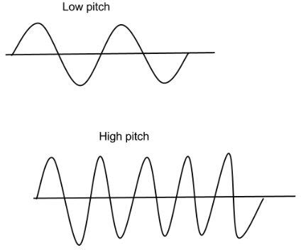 Frequency And Pitch Of Sound Study Guide - Inspirit