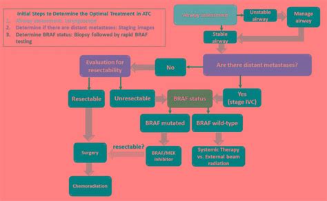 Metastatic Thyroid Cancer Treatment - CancerWalls