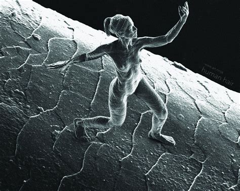 The smallest sculptures ever made: nano-scale creations are dwarfed by even a human hair | The ...