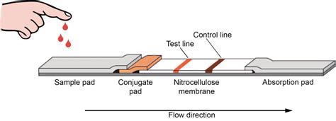 Lateral flow assays – Reagents and equipment for R&D of lateral flow assays