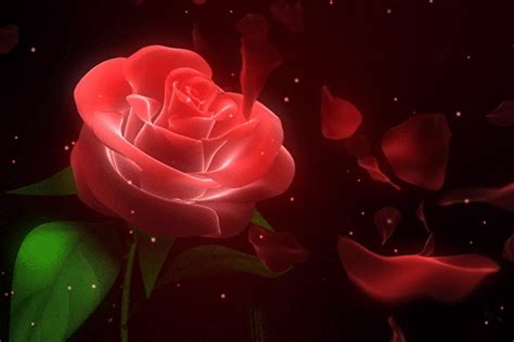 Red Rose Gif Animation | Red rose pictures, Anime flower, Rosé gif