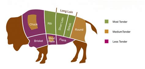 Cuts of Meat – Bear Mountain Bison CO