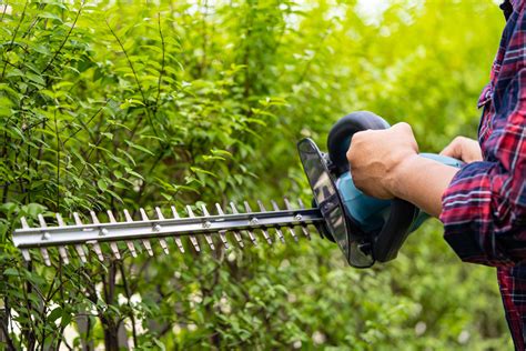 Gardener holding electric hedge trimmer to cut the treetop in garden. 3312695 Stock Photo at ...