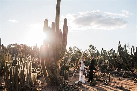 Cactus Love // As Featured on Junebug Weddings - Immerse Photography