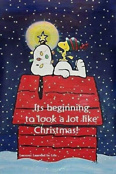 Peanuts Christmas Quotes. QuotesGram