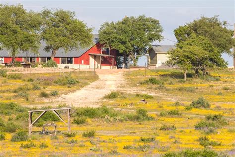 Texas Exotic Game, Axis Deer, Auodad, Turkey Hunting - West Kerr Ranch ...