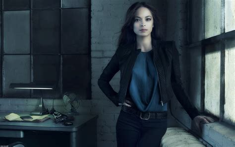 Kristin Kreuk, Beauty And The Beast Wallpapers HD / Desktop and Mobile ...