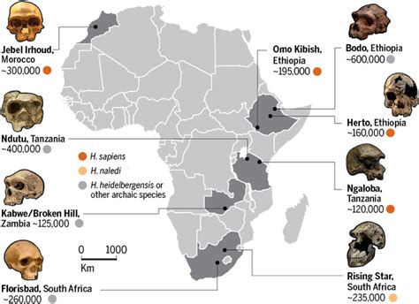 human evolution in africa — Truth has no agenda