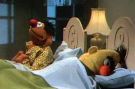 Why Can’t Bert and Ernie Marry?