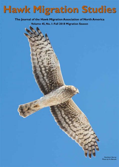 Hawk Migration Studies – Hawk Migration Association of North America