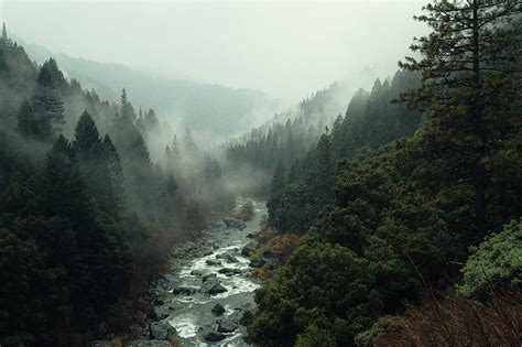 Aerial shot of forest, HD wallpaper | Peakpx