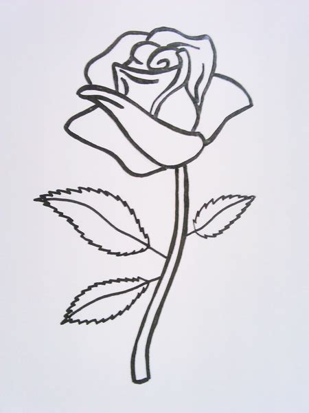 Dibujos De Rosas Faciles De Hacer A Lapiz Enviar por correo electr nico escribe un blog ...