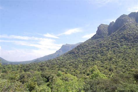 Tamilnadu Tourism: Sathyamangalam Wildlife Sanctuary and Tiger Reserve