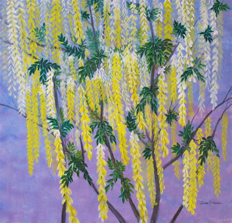 Golden Chain Tree Painting by Patricia Beebe - Fine Art America