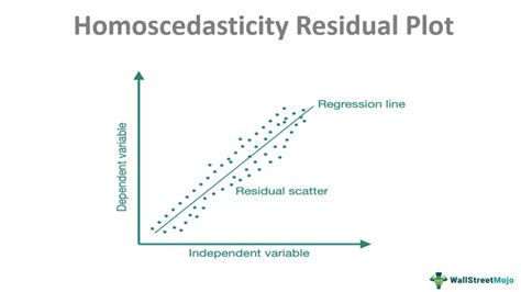 Homoscedasticity - Meaning, Assumption, vs Heteroscedasticity