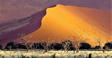 5-five-5: Namib Sand Sea (Namibia)