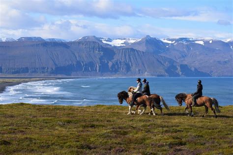 Riding Iceland - Horse riding tours in Húsavík, North Iceland